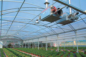 farm-2