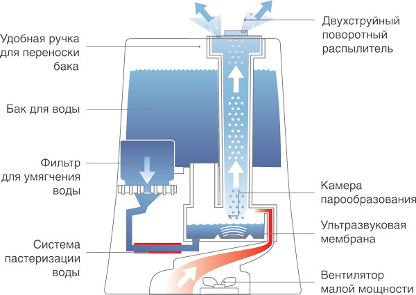 shema-lux-2510